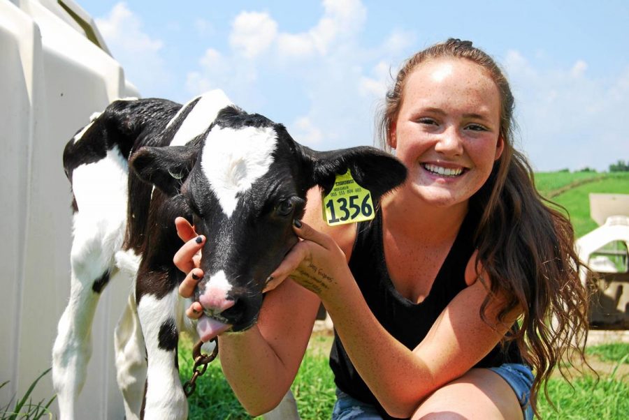 Farm+to+School+Spotlight%3A+Olivia+Lesher+cares+for+calves