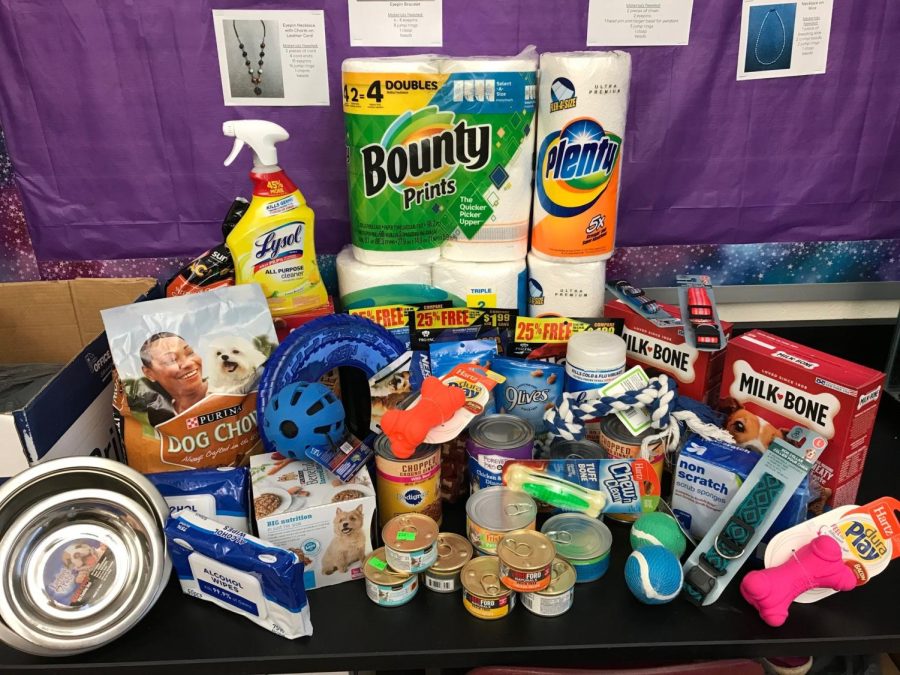 Hamburgs National Honor Society gathers supplies for pets in need