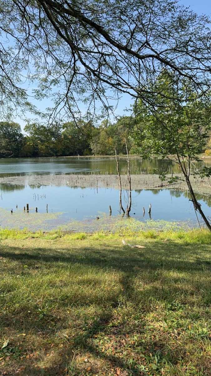 Students visit Leaser Lake