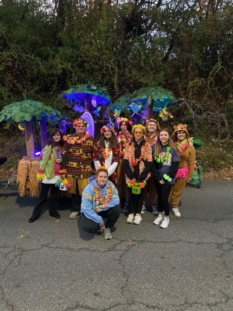 LEO club decorates Lion’s club float