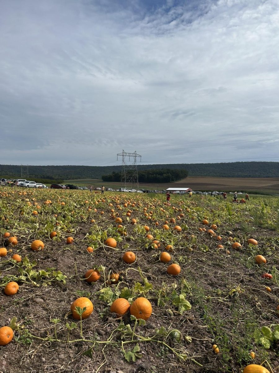 Halloween celebrations around the world