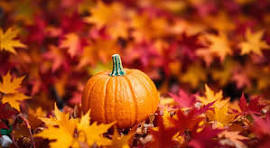 Students share their opinions on autumn