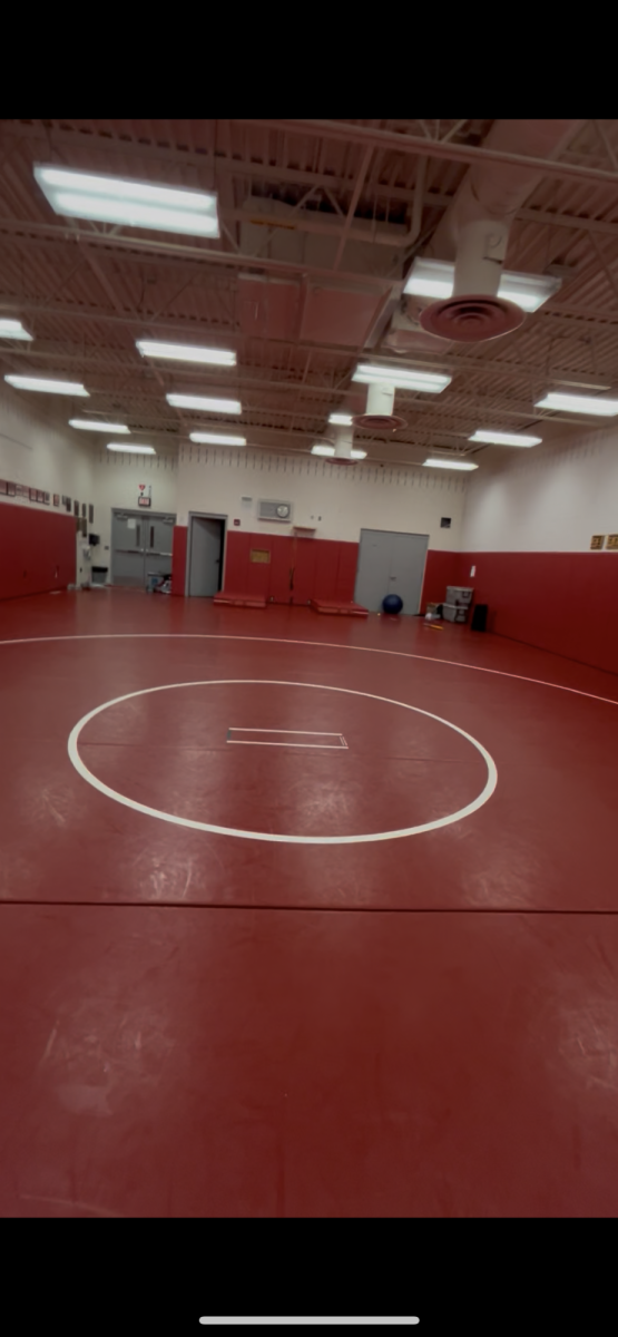 Hamburg boys' wrestling starts the season