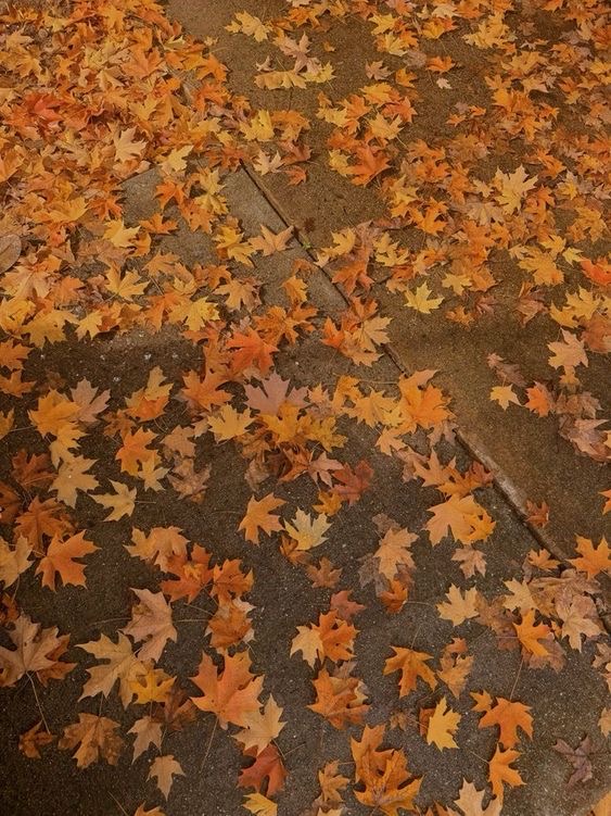 What students are grateful for