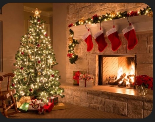 Students share Christmas plans