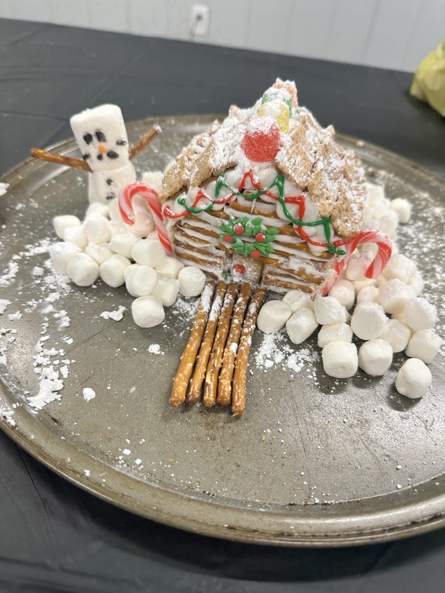 Hamburg Area High School students share how they spent their winter break