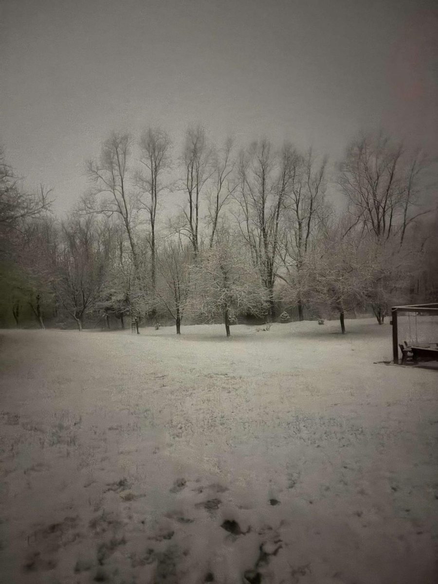 Is winter the best or worst season?