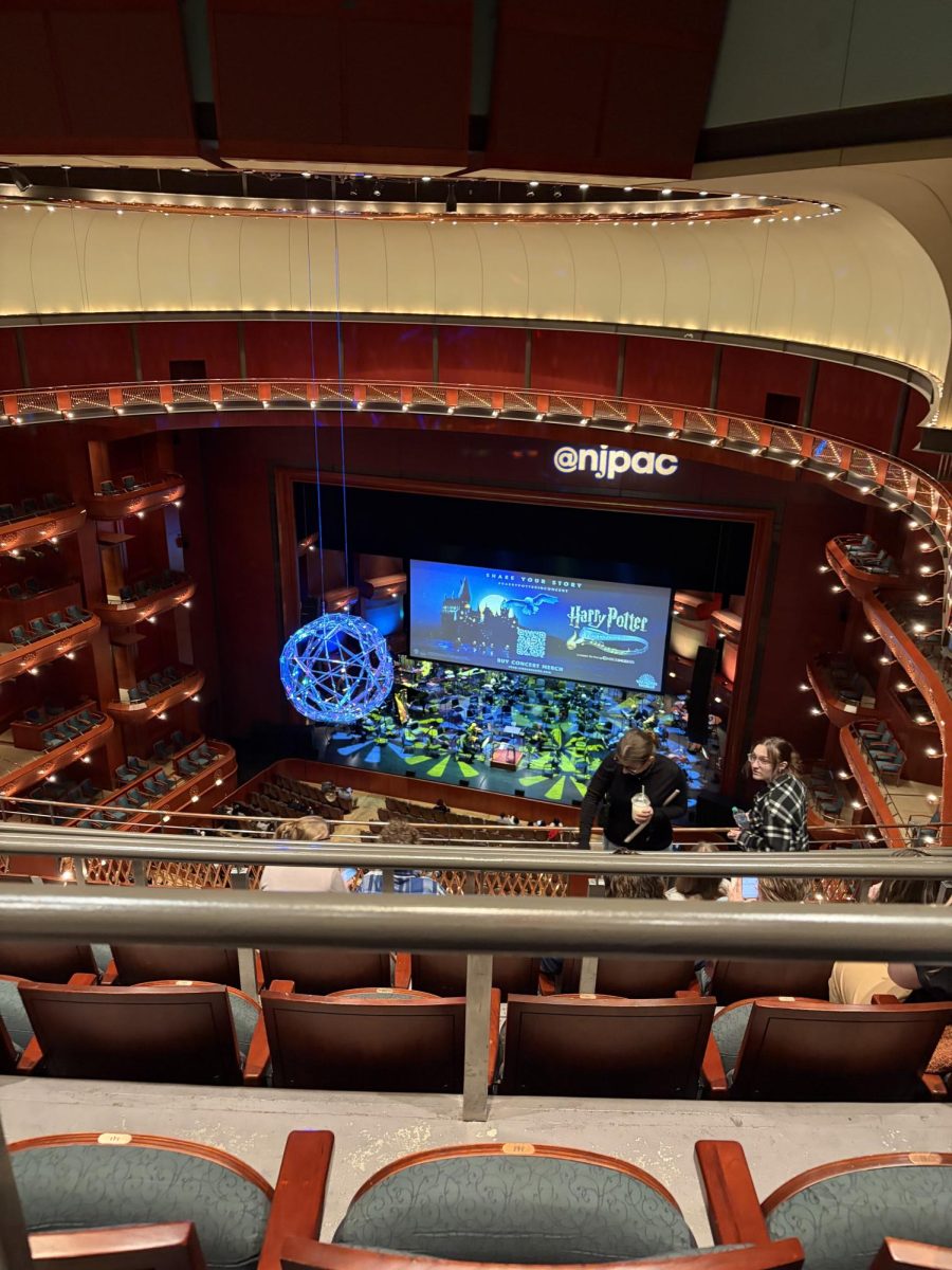 Music field trip to NJPAC