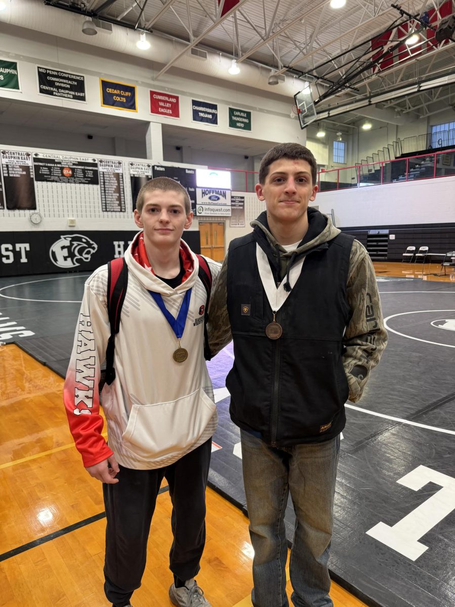 Boys wrestling sectionals