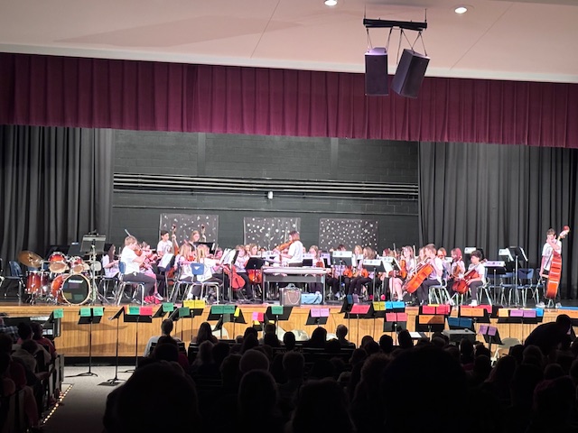 All HASD orchestra members play in progressive concert