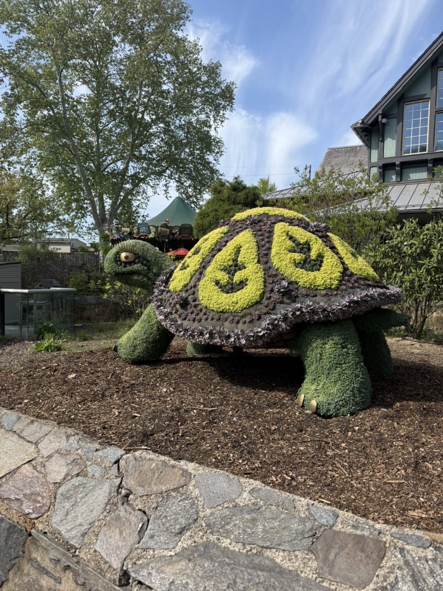 APES field trip to Philly Zoo