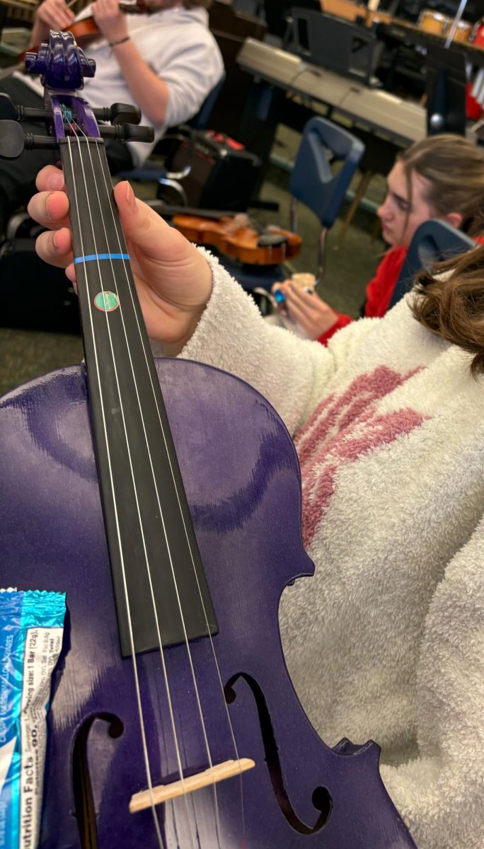 Students reflect on orchestra concert